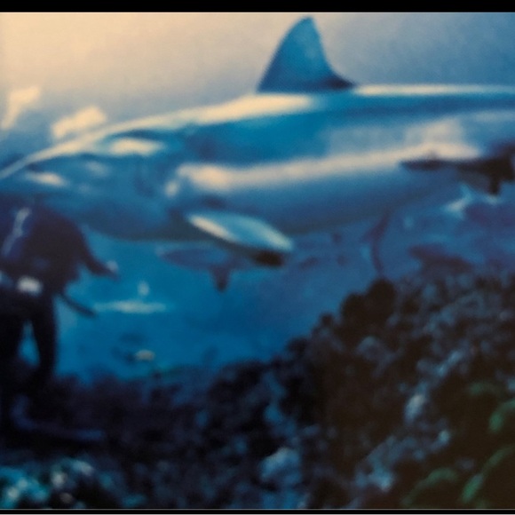 IMAX Theaters High definition 3-D Blu-Ray Sharks 2005 DVD 
Excellent condition - Picture 4 of 6